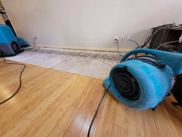 Professional Emergency Water Damage technician working in Minneapolis, MN